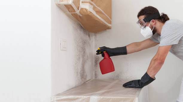 Professional Crawl Space Mold Remediation technician working in Raritan, NJ